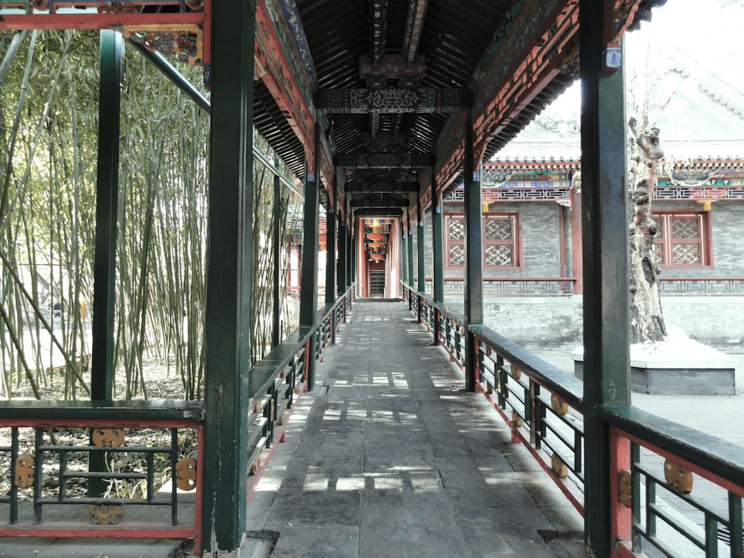 场景体：夜班司机在服务区用欢乐麻将续上老家牌桌